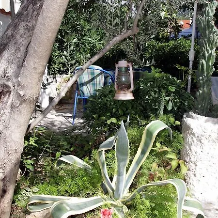 Silvana 马卡尔斯卡